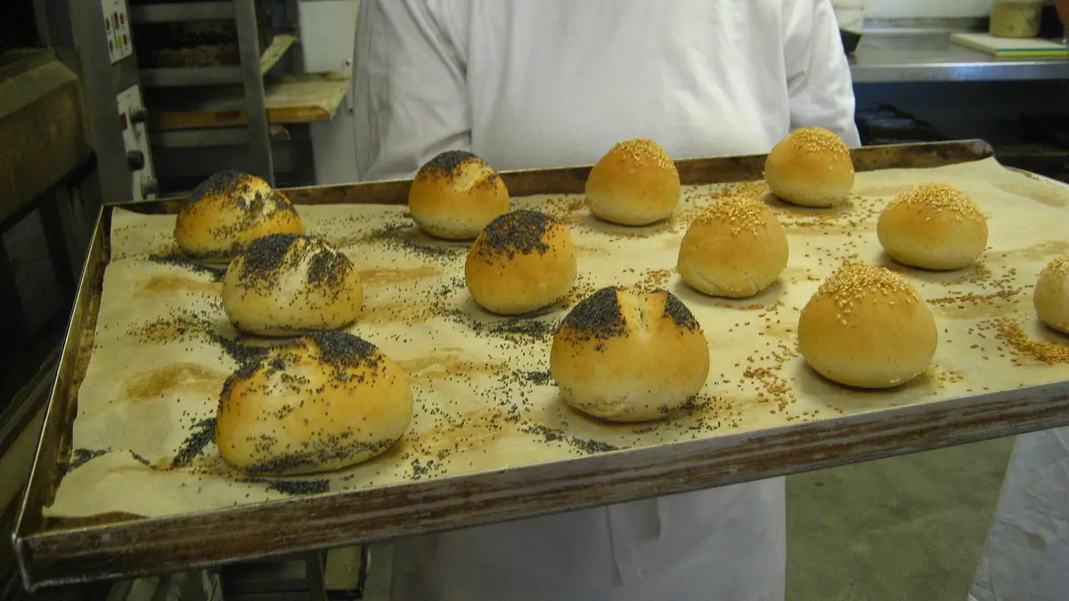 Maya's Bakehouse – artisan bakery in Blenheim Gardens Estate, London